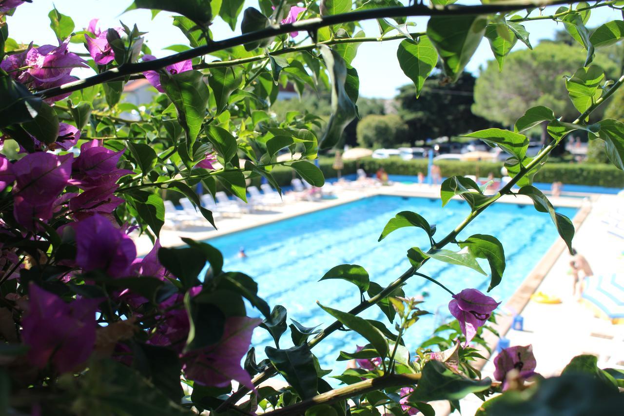Residence Magnolia Marina Di Bibbona Kültér fotó